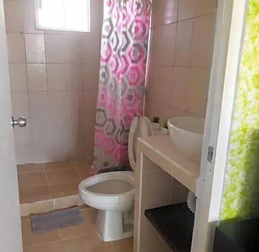 Departamento Con Alberca En Ixtapa